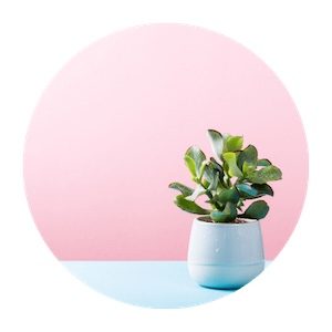 évoluer avec le coaching